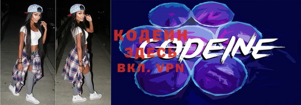 дурь Лабытнанги