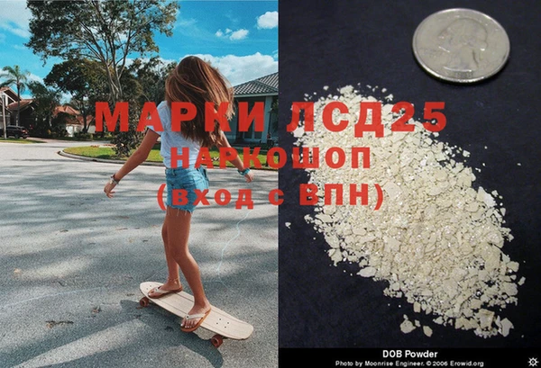 стаф Ладушкин