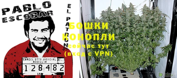 стаф Ладушкин