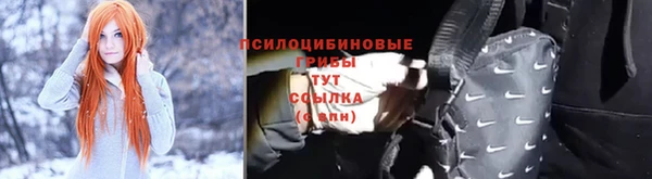 стаф Ладушкин