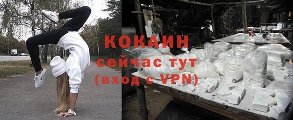 стаф Ладушкин