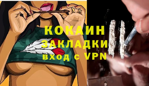 тгк Лиски