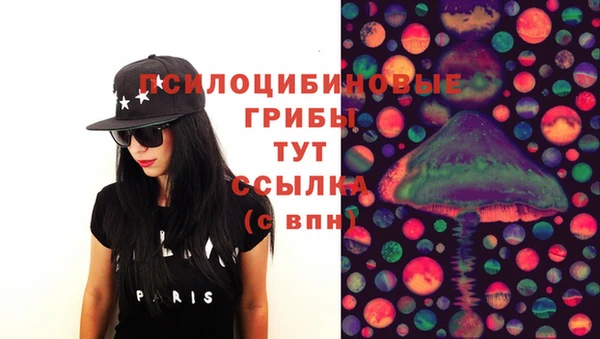 дурь Лабытнанги