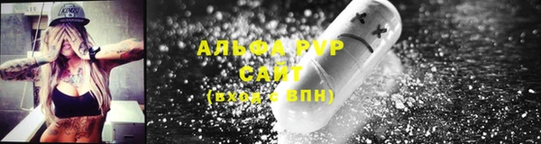 стаф Ладушкин